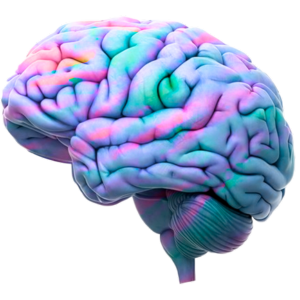 Number Guessing Game